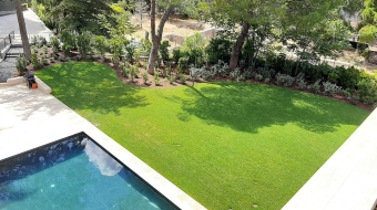area-verde-7