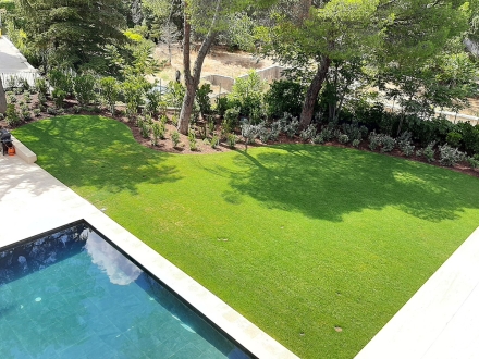 area-verde-7
