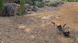finca-1