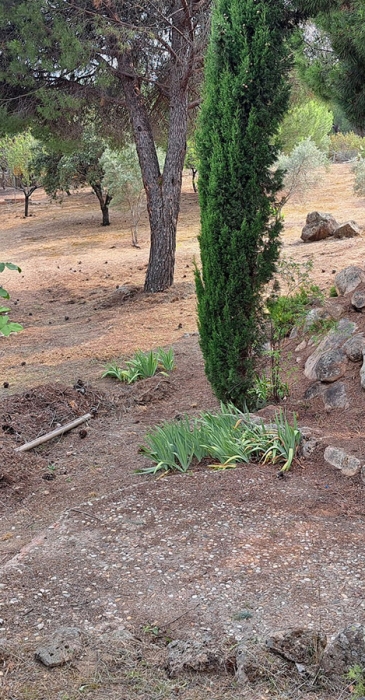 finca-6