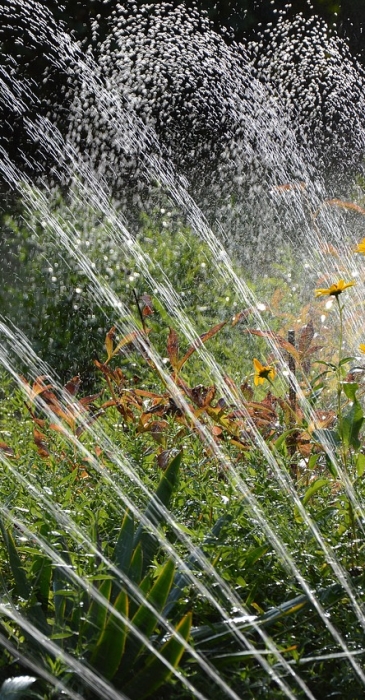garden-36642781280